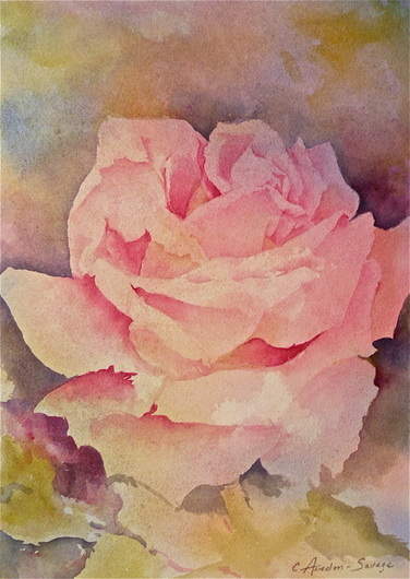 Watercolour Flowers Pink Rose