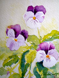 Tri-color Violas, Flowers, Watercolour, art, floral