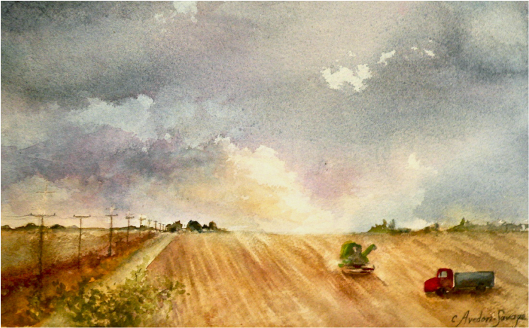 Landscape Prairie Watercolour Wheat 